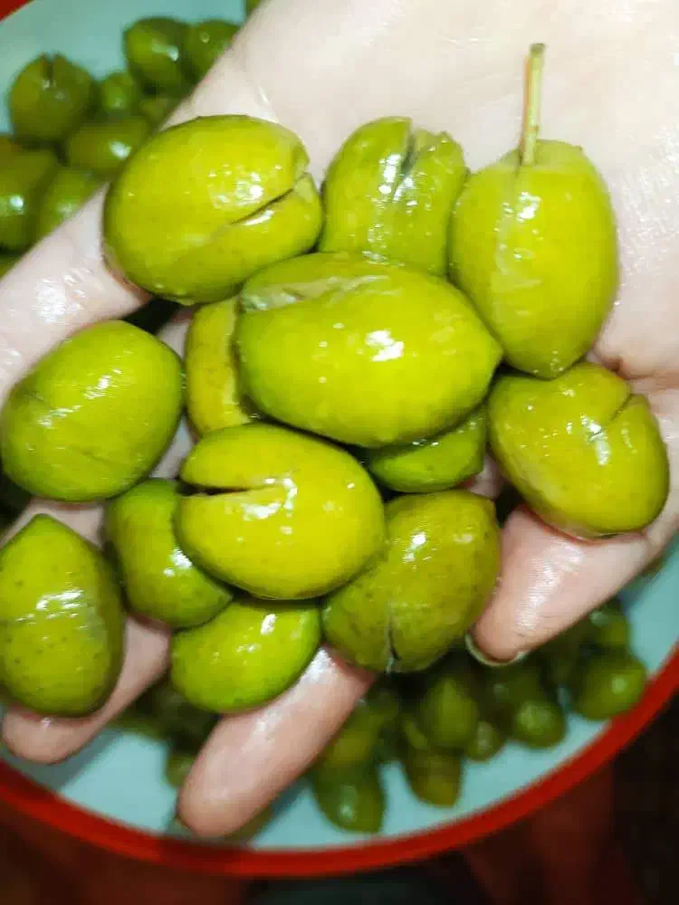 زیتون سوپر ویژه|خوردنی و آشامیدنی|رشت, ترمینال|دیوار