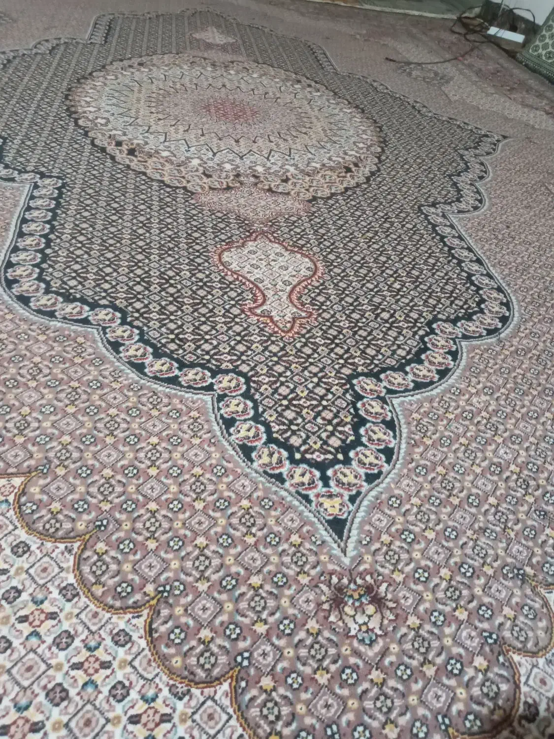 یک جفت فرش ۱۲ متری فروشی درخان ببین|فرش|خان ببین, |دیوار