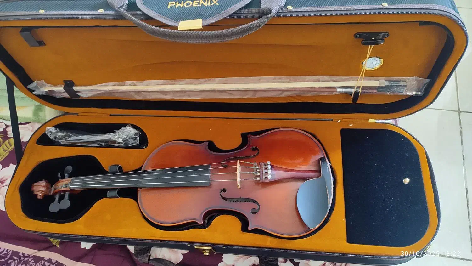 ویالن|ویولن|بندرعباس, |دیوار