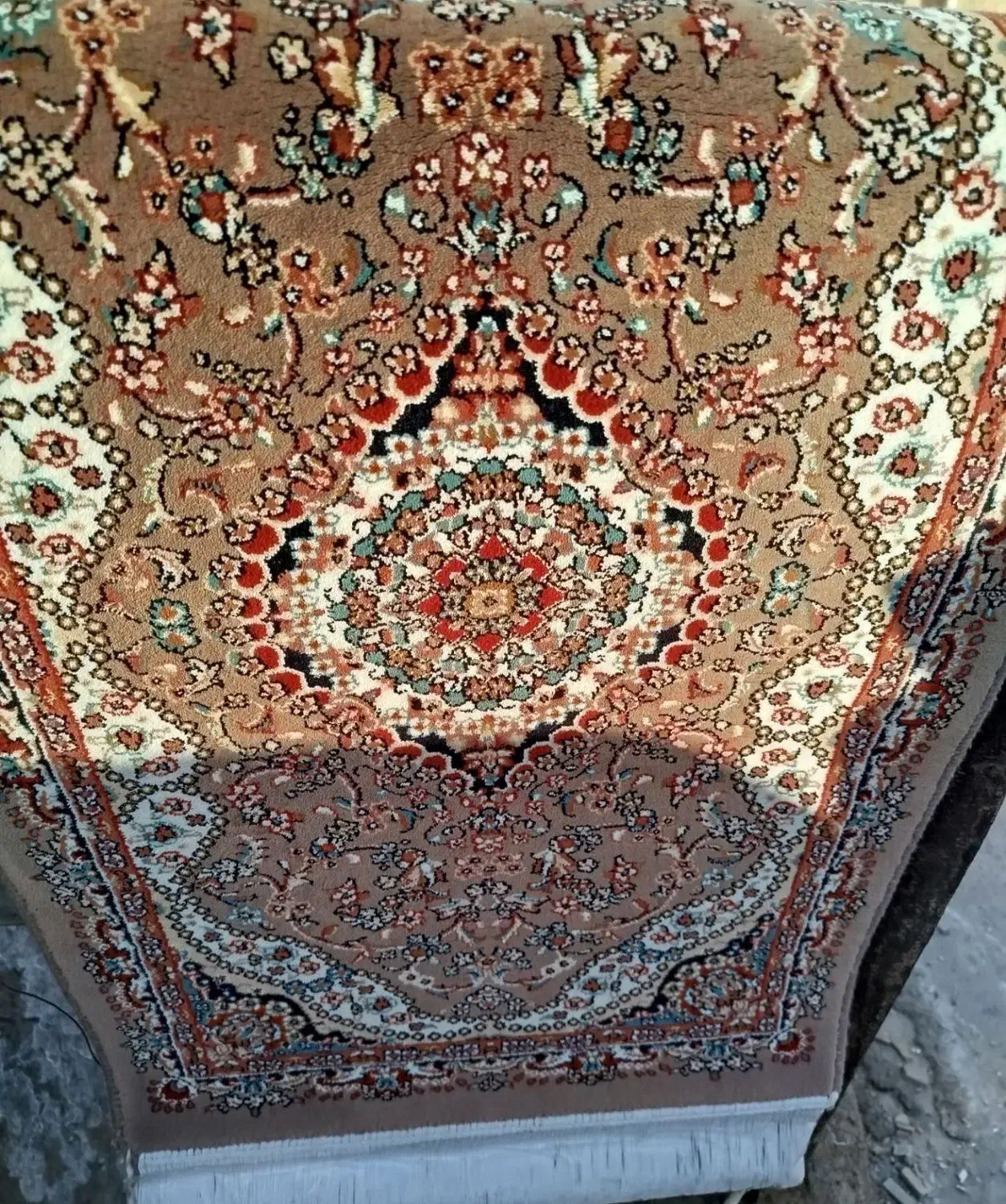 پادری|پادری|پاکدشت, پاکدشت (مامازند)|دیوار