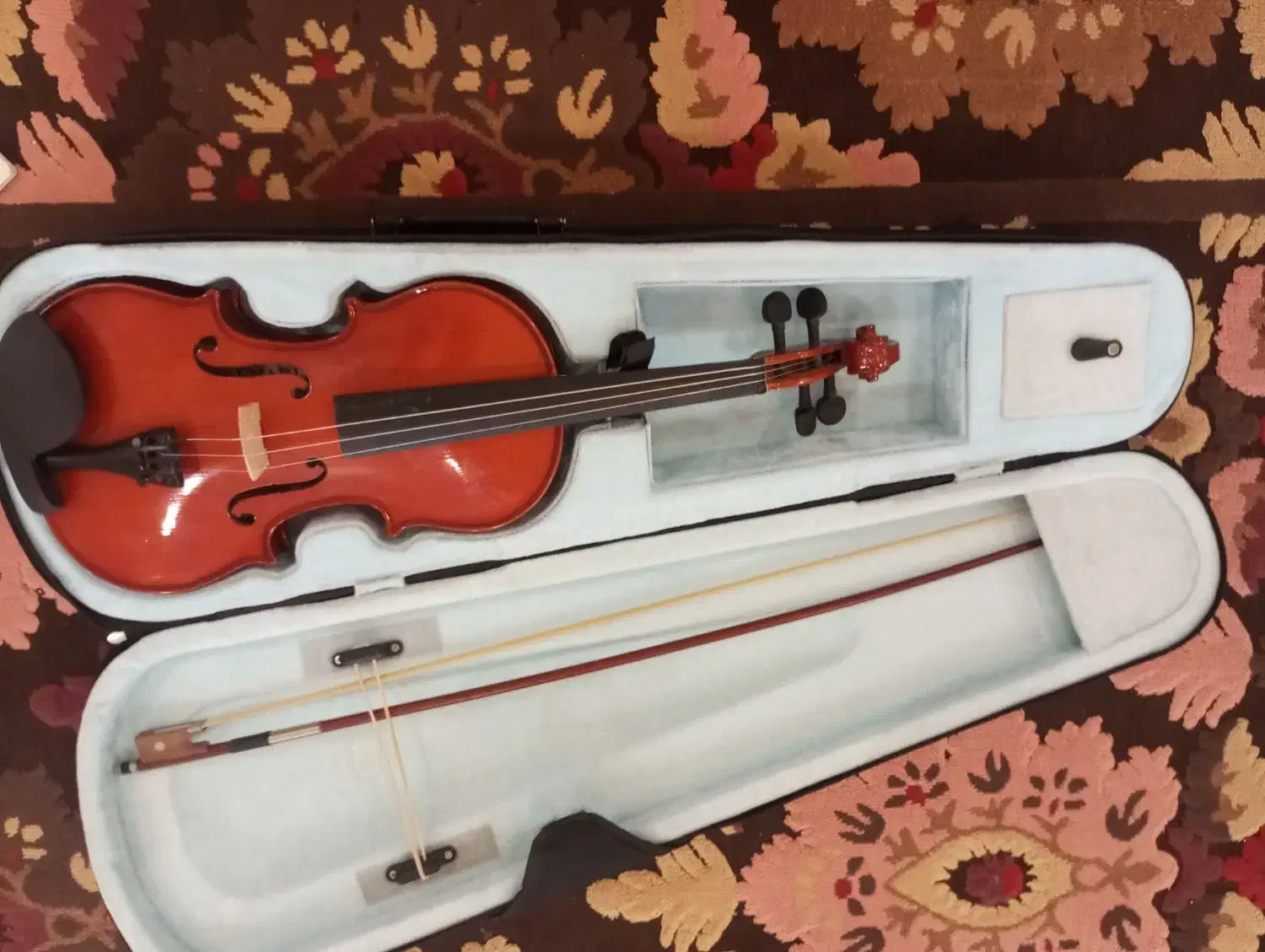 ویلون رناتو|ویولن|پاکدشت, خاتون آباد|دیوار