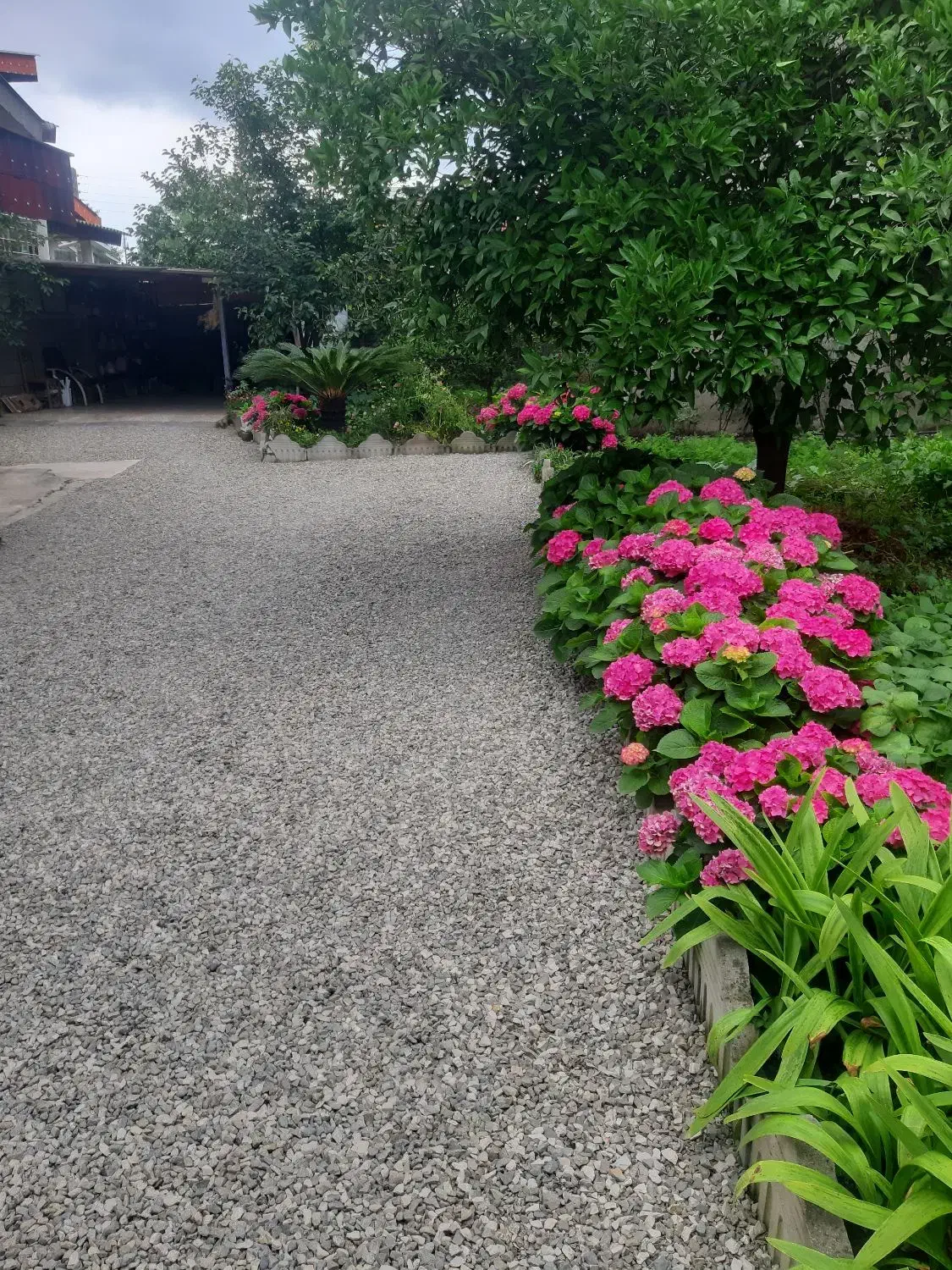 اجاره سوئیت یک خوابه|اجارهٔ کوتاه‌مدت آپارتمان و سوئیت|چالوس, |دیوار