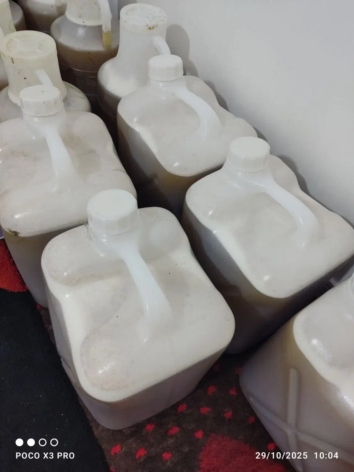 فروش عسل کنار درجه یک خالص|خوردنی و آشامیدنی|نورآباد ممسنی, |دیوار