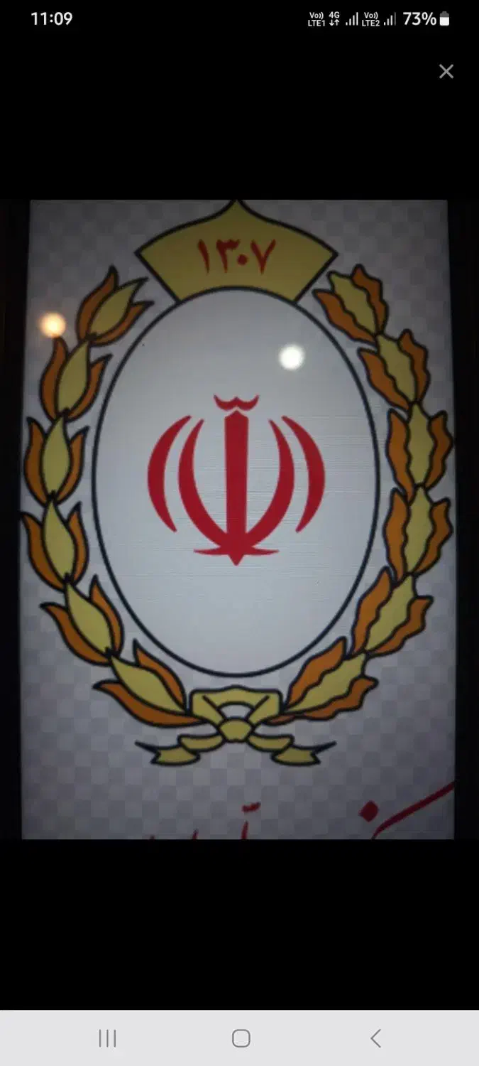 راهنمایی میکنم وام ۱روزه بانک ملی|فعالیت داوطلبانه|فردیس, شهرک ناز|دیوار