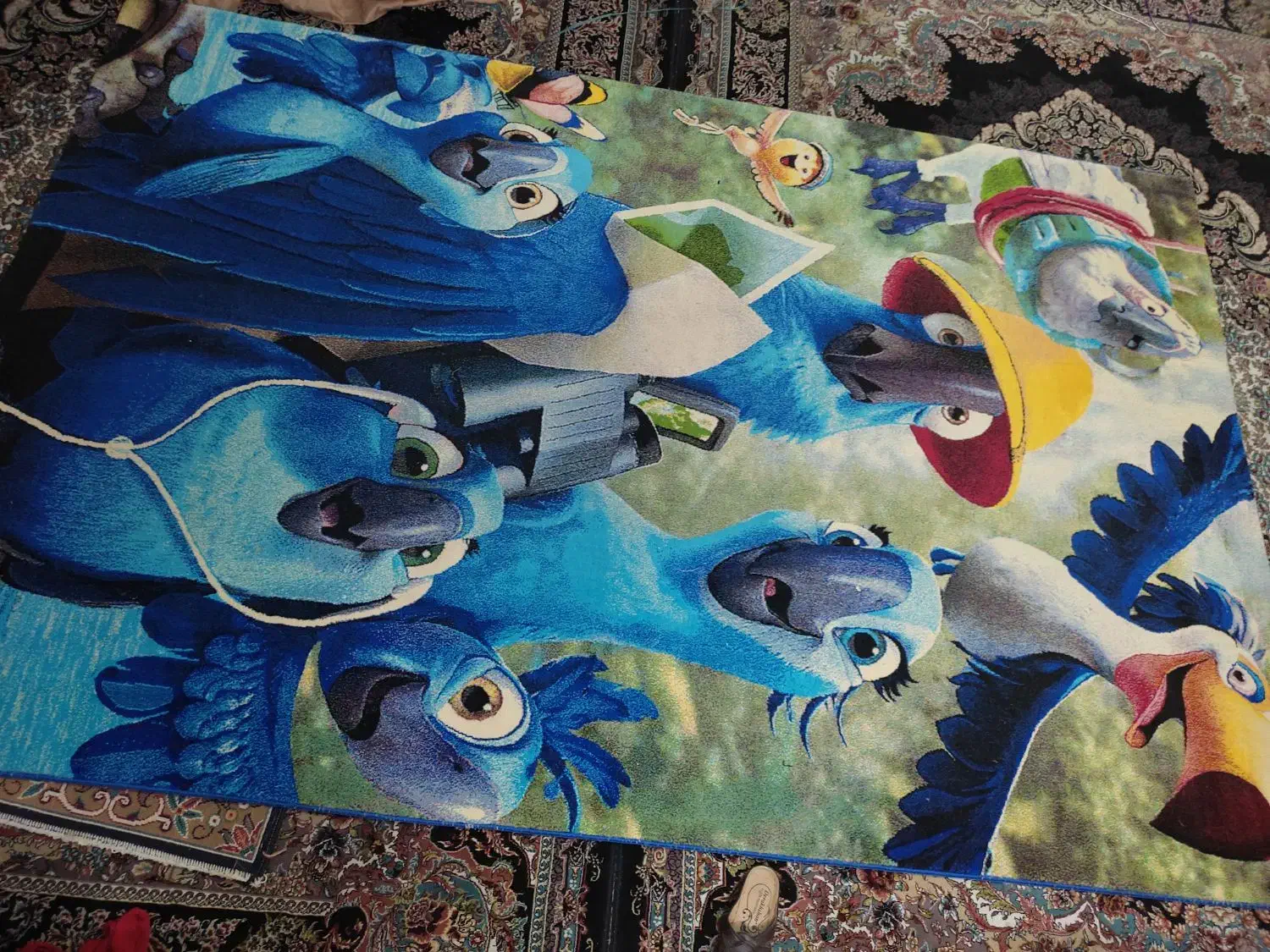 گلیم فرش۶متری|گلیم، جاجیم، گبه|خرمآباد, |دیوار