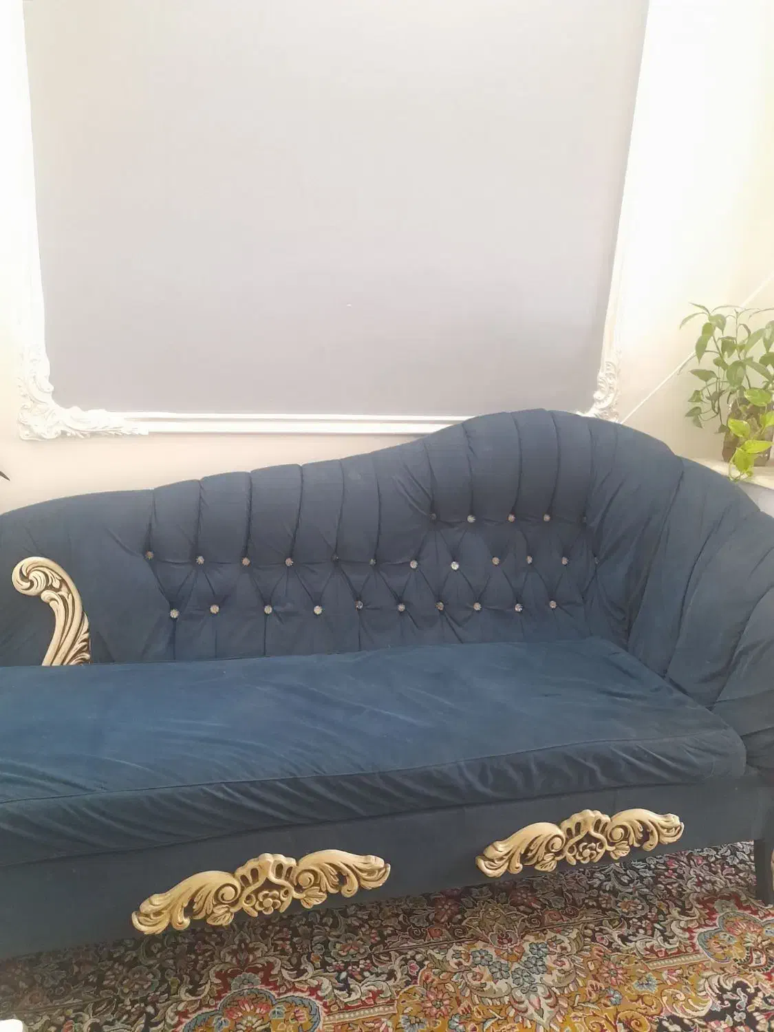 مبل شزلون|مبلمان خانگی و میز عسلی|گلبهار, شهر جدید گلبهار|دیوار