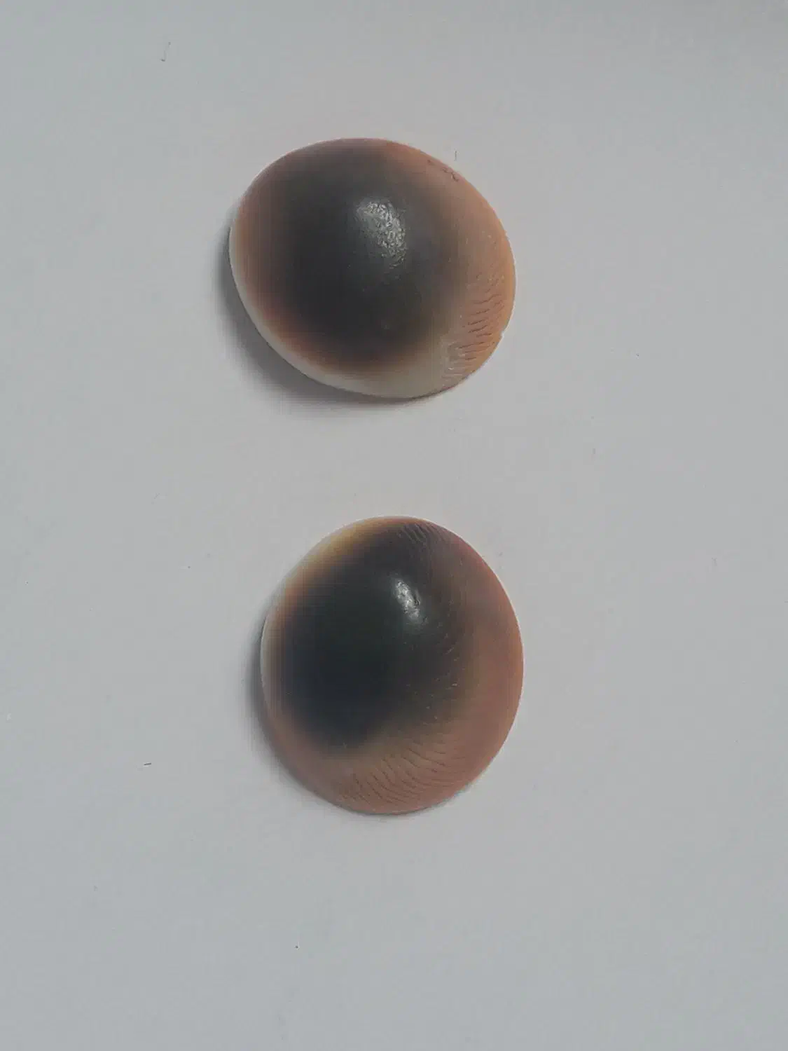 مهره|کلکسیون اشیاء عتیقه|کرمانشاه, |دیوار