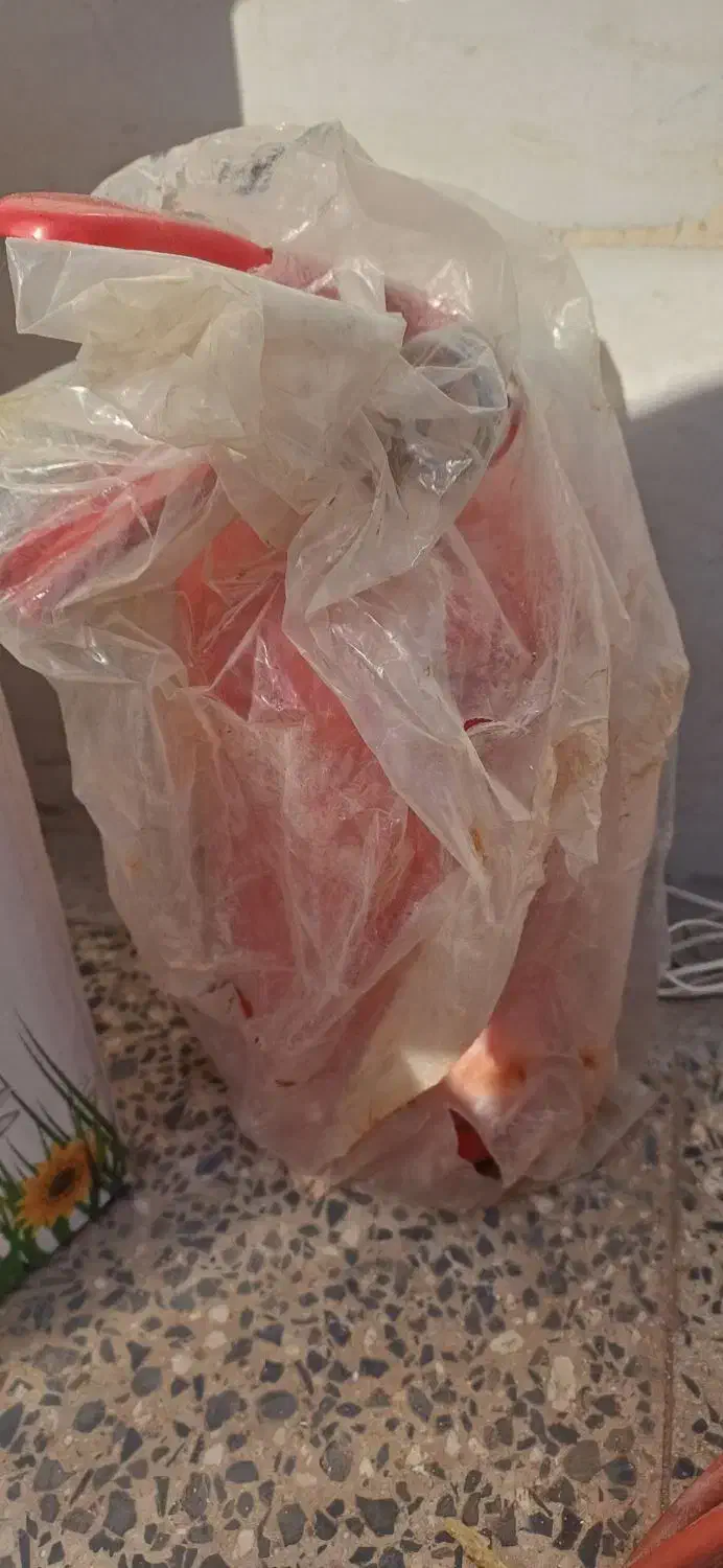 لوازم برقی و ایمنی|حراج|شاهین‌شهر, شیخ بهایی|دیوار