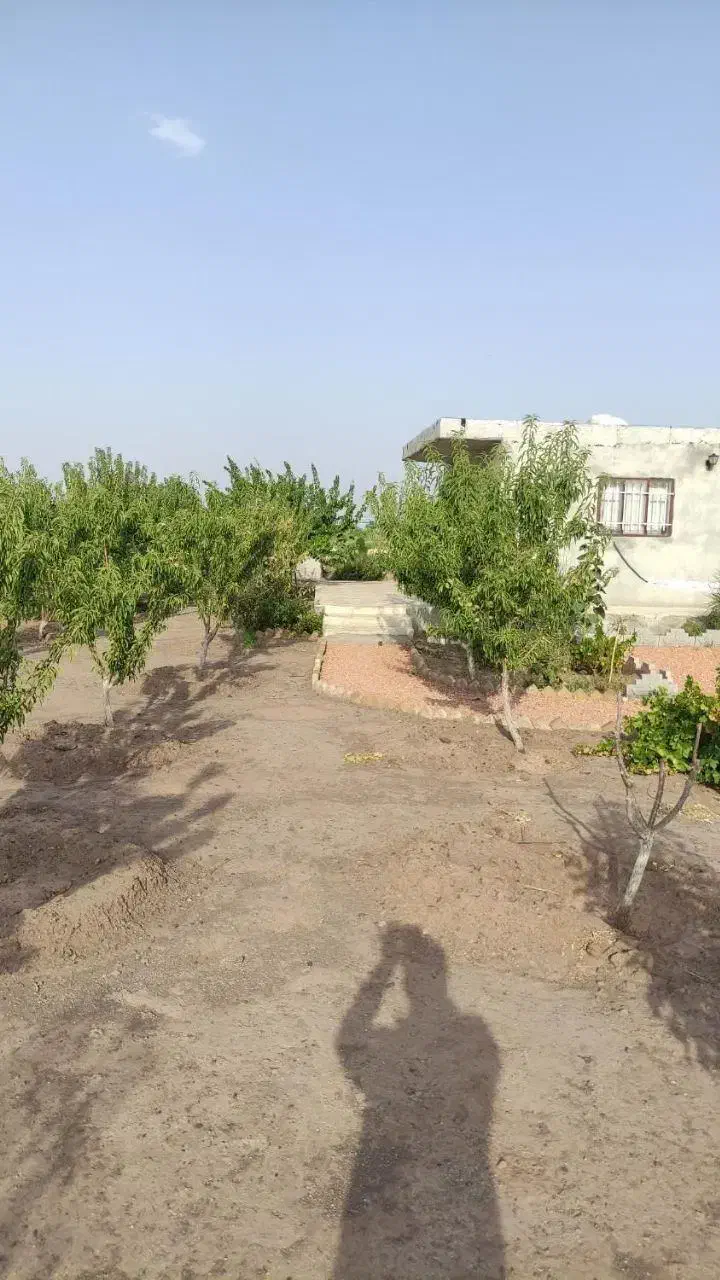 باغ|فروش خانه و ویلا|اشتهارد, |دیوار