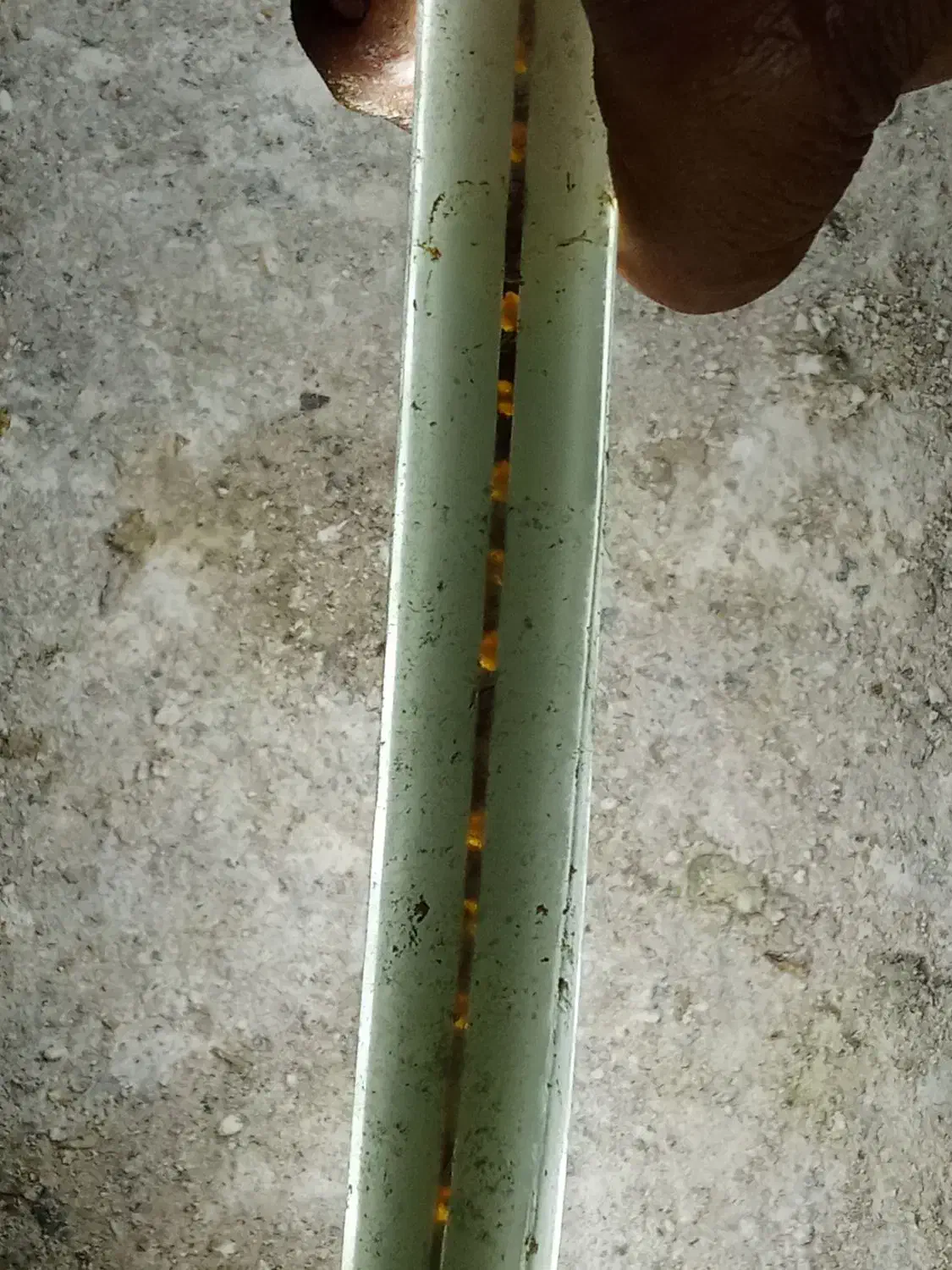 یه دونه لامپ خورشیدی|لامپ و چراغ|زاهدان, |دیوار