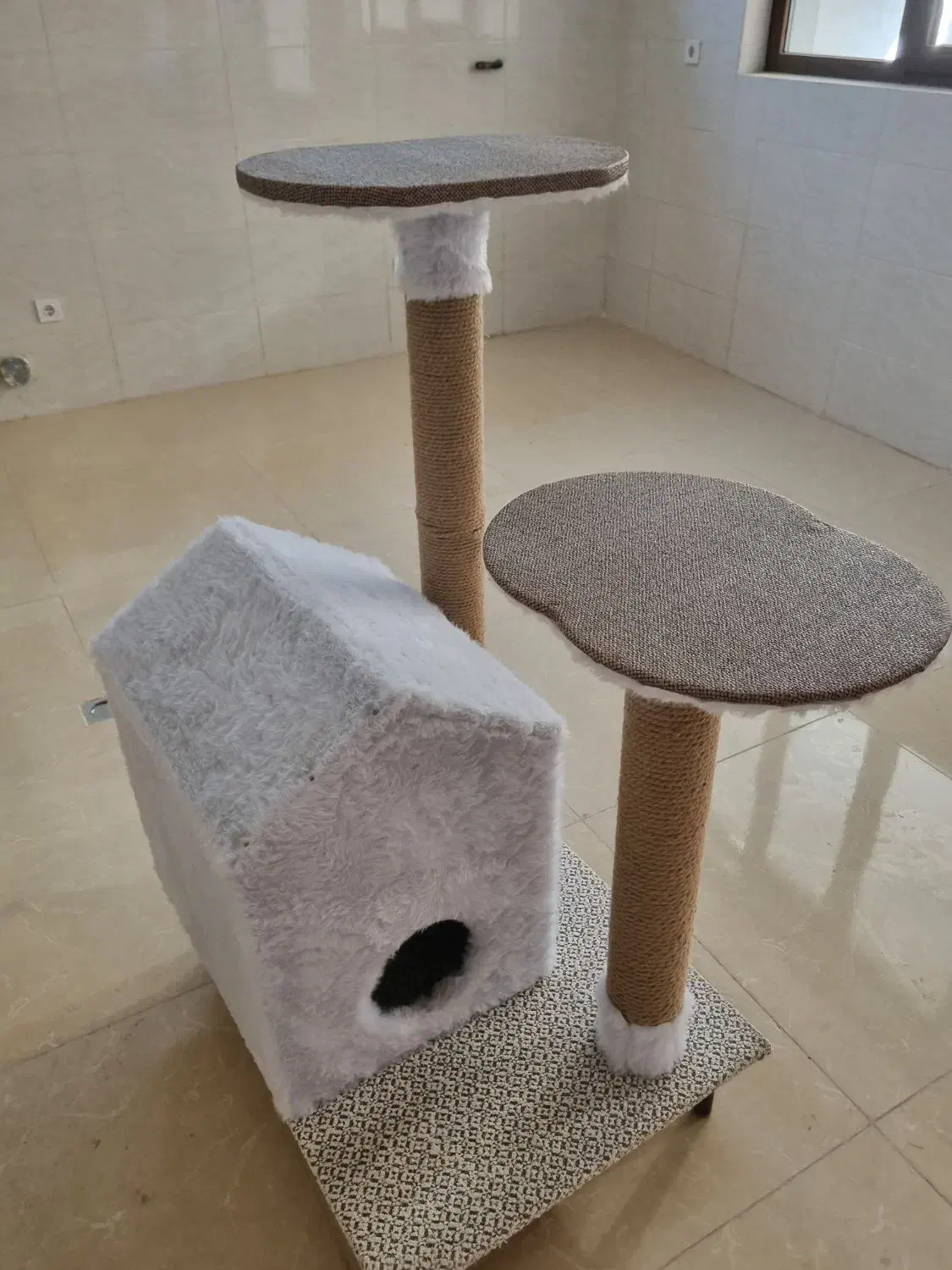 خانه و اسکرچر گربه|گربه|یزد, |دیوار