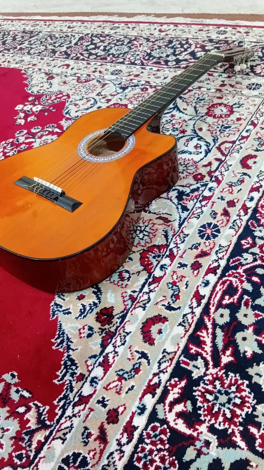 گیتار|گیتار، بیس، امپلیفایر|سوسنگرد, |دیوار