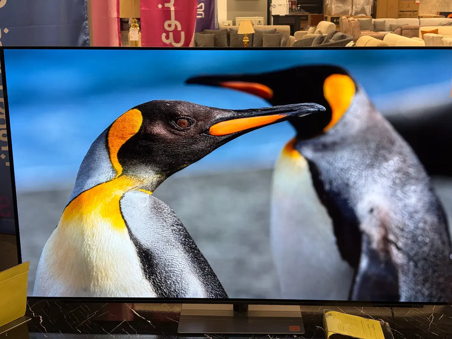 تلویزیون jvc نقدو اقساط|تلویزیون و پروژکتور|شهرکرد, |دیوار