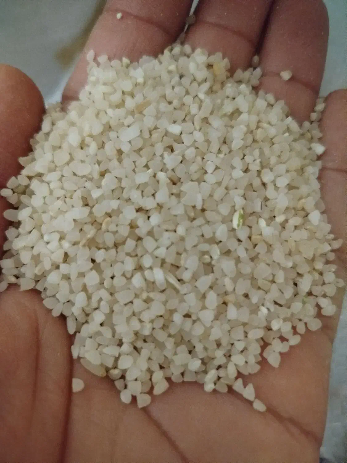 خرده برنج متوسط و تمیز|خوردنی و آشامیدنی|شیراز, گویم|دیوار