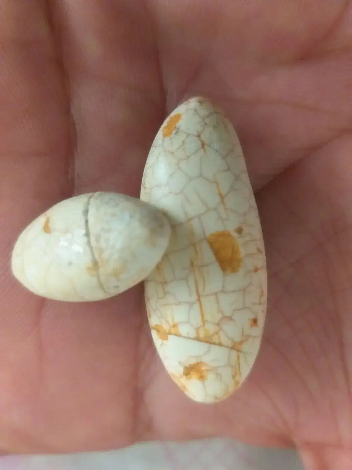 مهربانی..|فعالیت داوطلبانه|ساوه, |دیوار