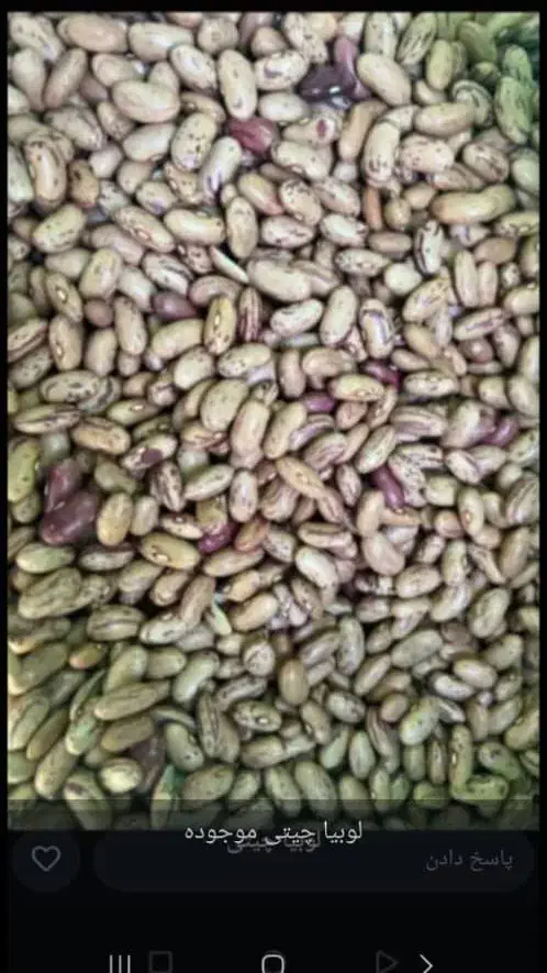 لوبیا|خوردنی و آشامیدنی|شیراز, شهرک برق|دیوار