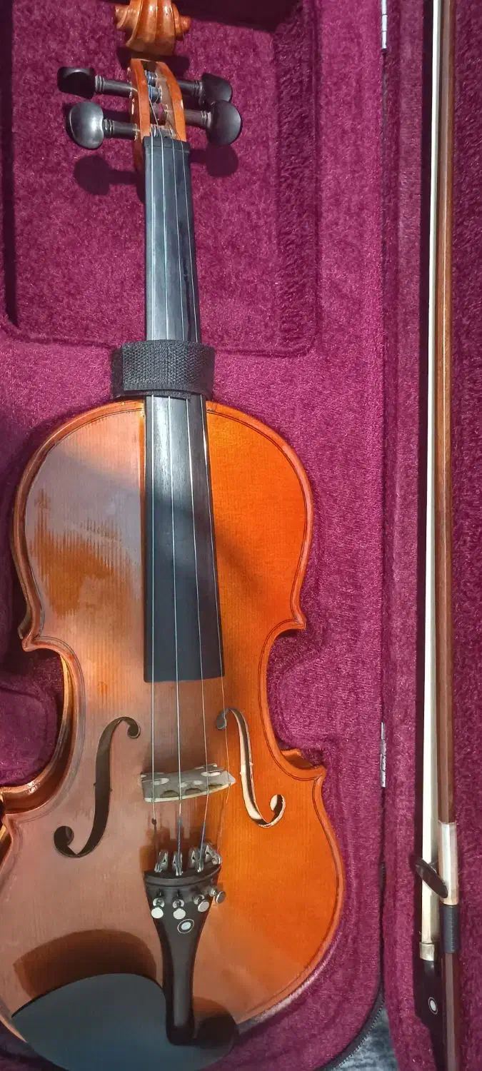 ویولن|ویولن|مشهد, ده دی|دیوار