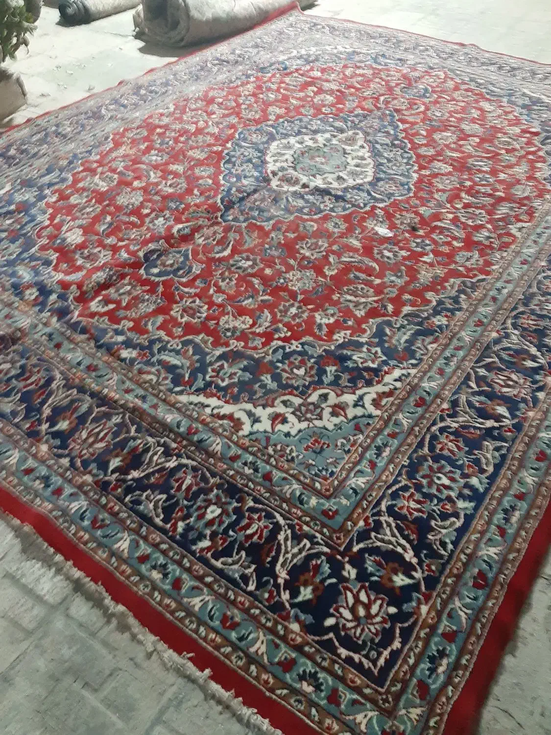 فرش دست دوم سید|فرش|مشهد, مصلی (کارمندان اول)|دیوار