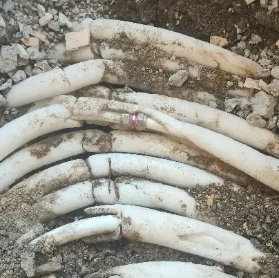 (لوله کشی نشت یابی تاسیسات لوله بازکنی تعمیرات کلی|خدمات پیشه و مهارت|اصفهان, رزمندگان|دیوار