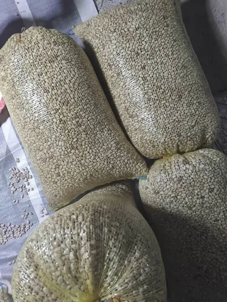 لوبیا چیتی|خوردنی و آشامیدنی|سیلوانه, |دیوار