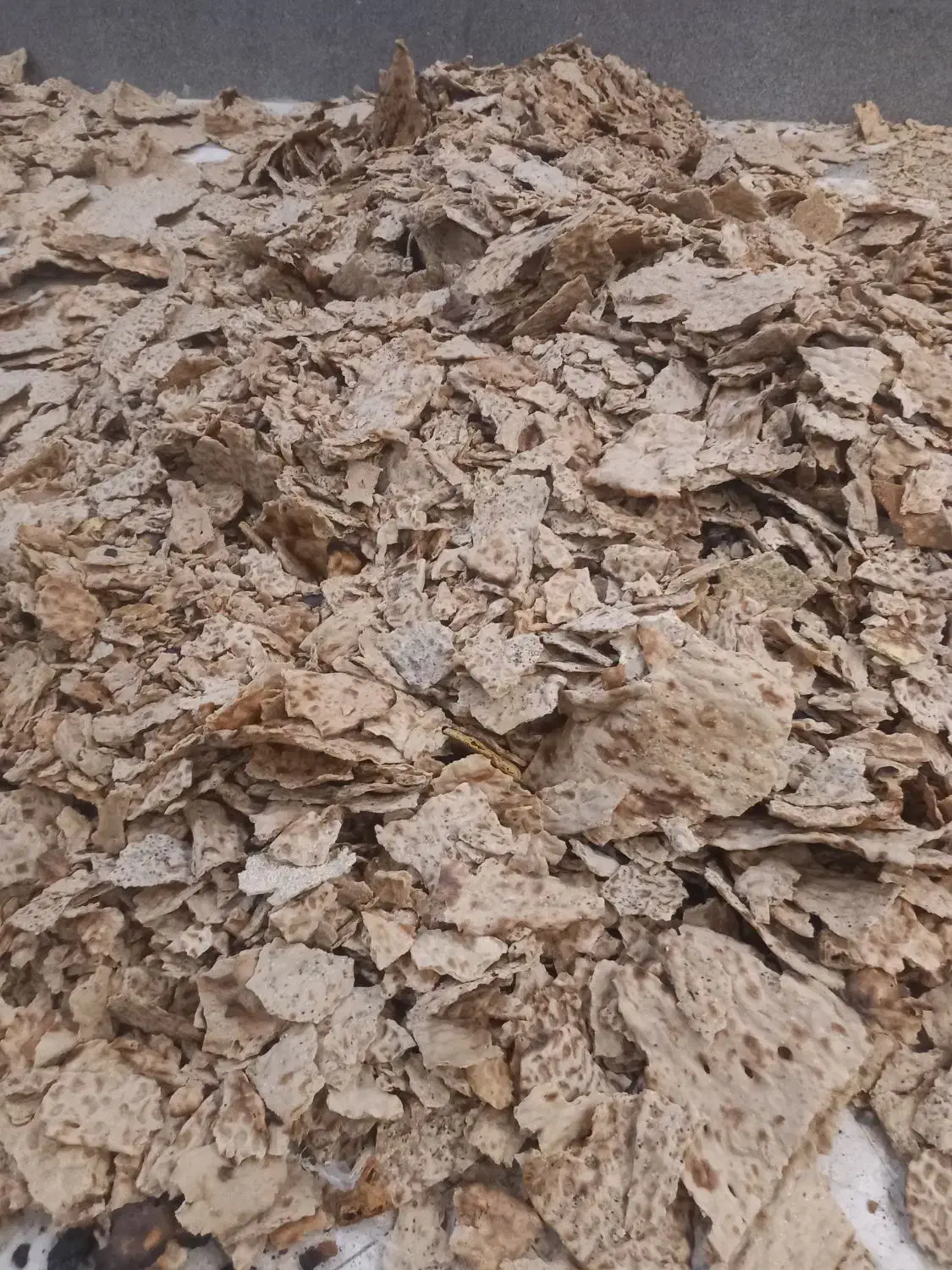 جمع آوری نان خشک|عمده‌فروشی|مشهد, گوهرشاد|دیوار
