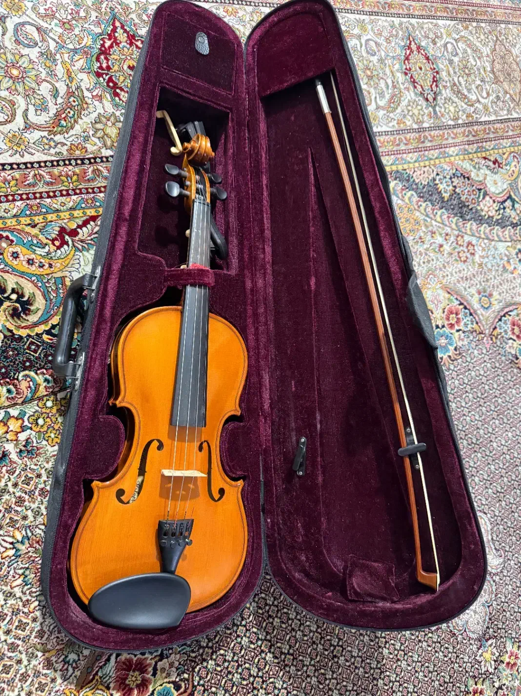 ویولون هافنر AS160 4/4 نونو اصلاً استفاده نشد.|ویولن|شیراز, شهرک فرزانگان|دیوار