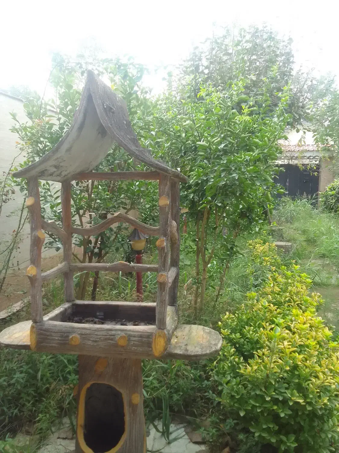 ۲۴۰ متر زمین مسکونی سند دار  شهرک سید احمد خمینی|فروش زمین و ملک کلنگی|رشت, شهرک احمد خمینی|دیوار