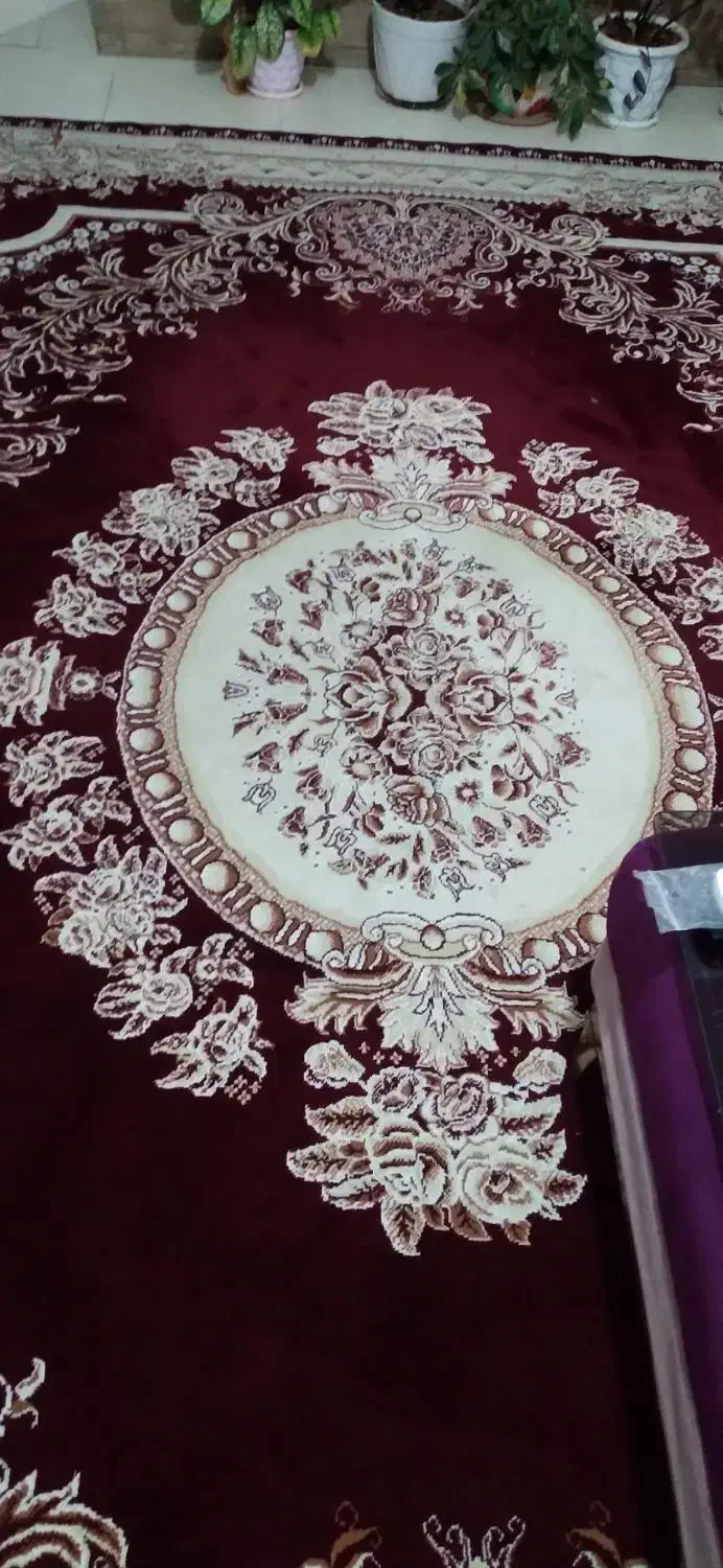 فرش لاکی قرمز|فرش|محمدیه-قزوین, |دیوار