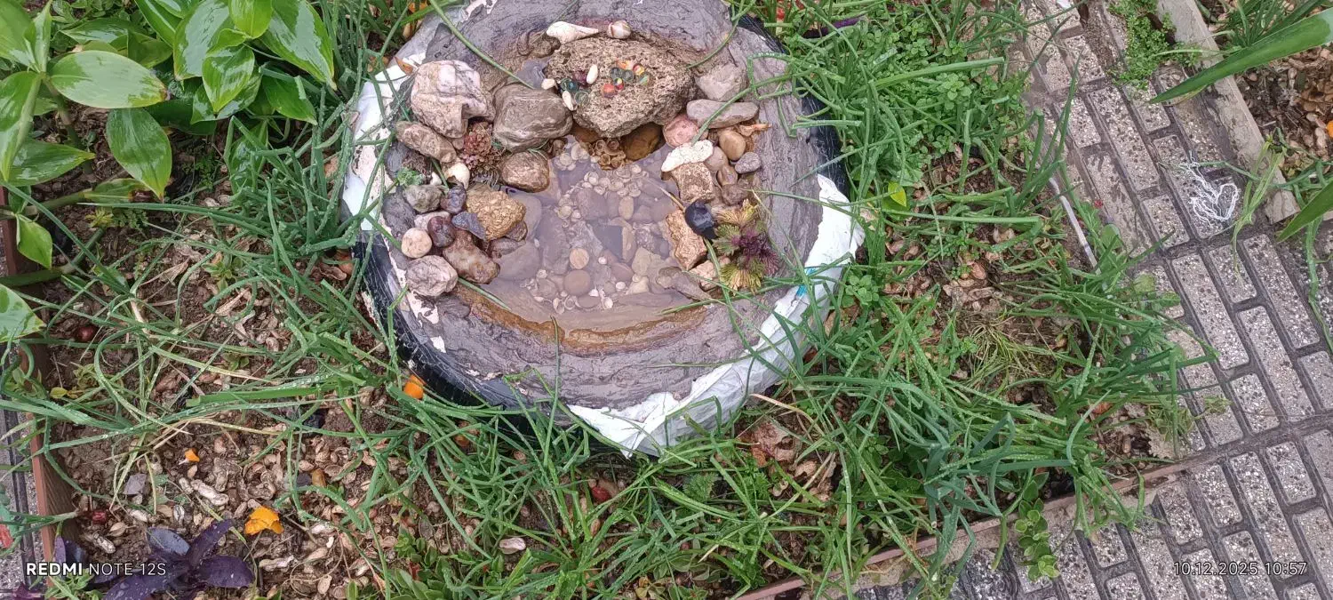 داش (سنگ)|جواهرات|پارس‌آباد, |دیوار