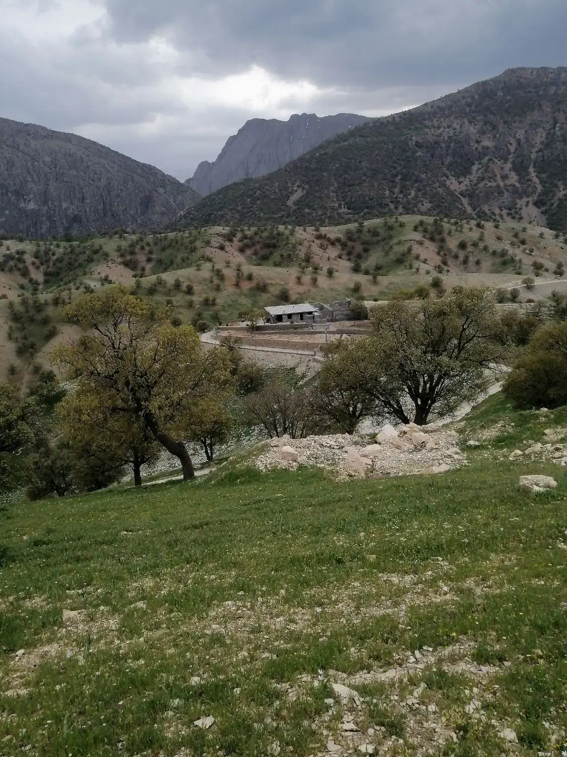 شراکت یا فروش طرح|اجارهٔ دفتر صنعتی، کشاورزی، تجاری|مارگون, |دیوار