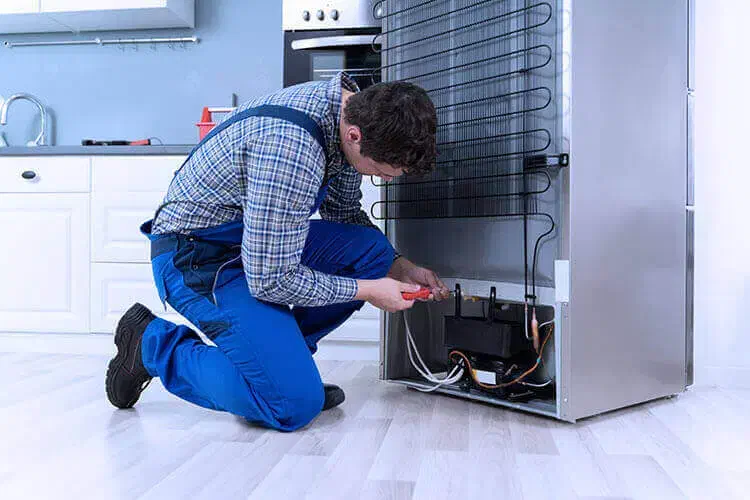 تعمیرات تخصصی یخچال و فریزر با تخفیف ویژه|خدمات پیشه و مهارت|زاهدان, |دیوار