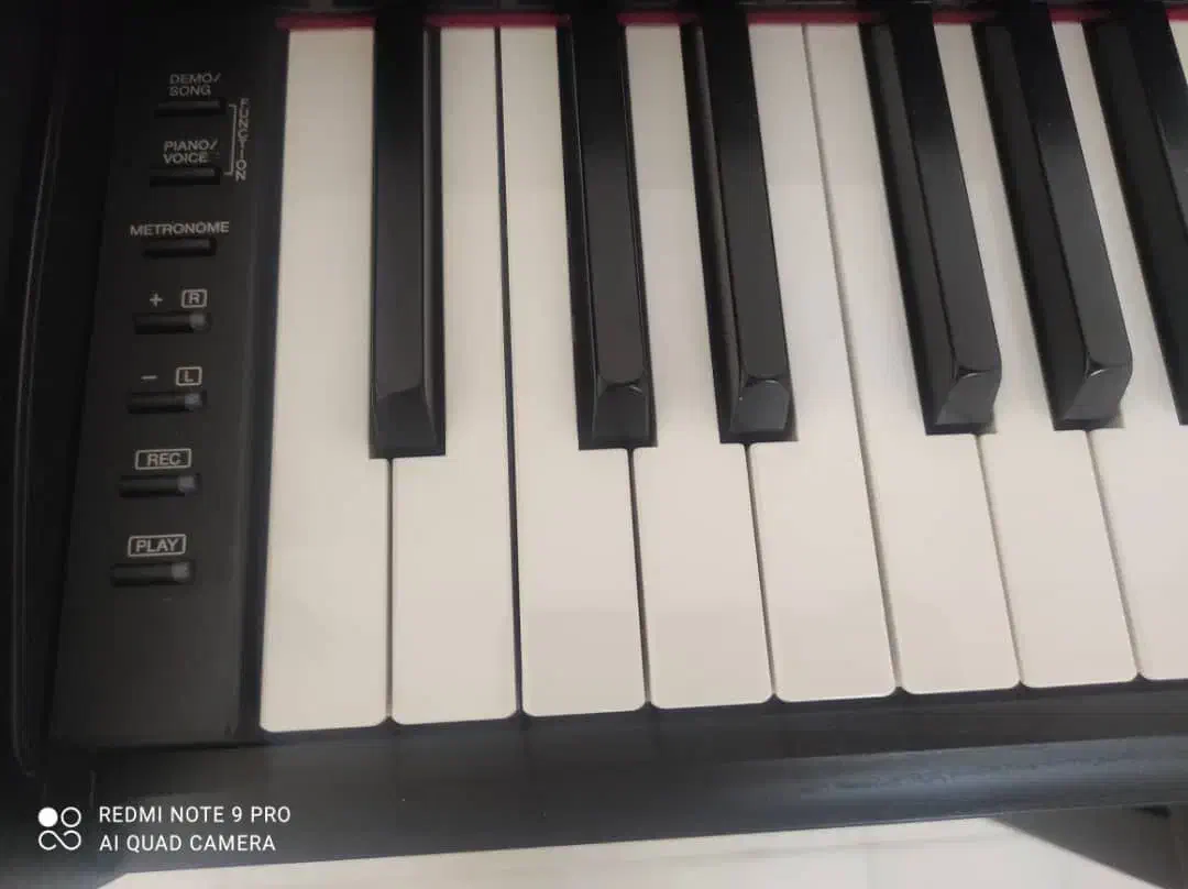 پیانو دیجیتال yamaha ydp145|پیانو، کیبورد، آکاردئون|شهرکرد, |دیوار