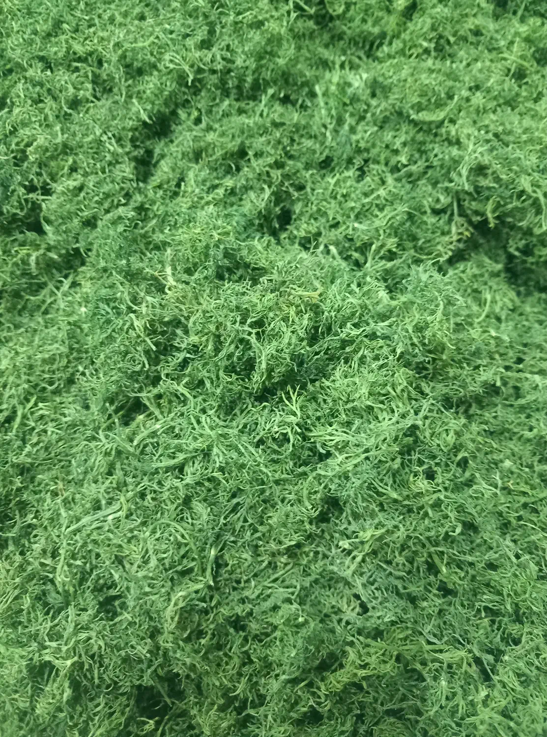 شویدخشک|خوردنی و آشامیدنی|اصفهان, خوراسگان|دیوار