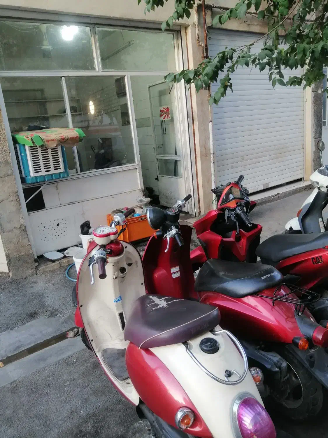 تعمیرات انواع موتور پاکشتی کلیک و آیروکس|خدمات پیشه و مهارت|شیراز, لب آب|دیوار