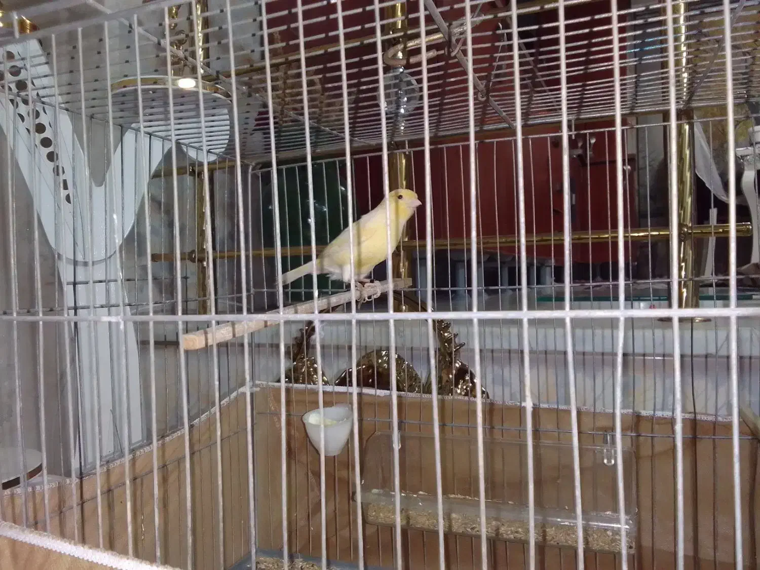 ماده موزائیکی|پرنده|قرچک, شهرک طلائیه|دیوار