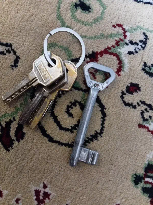 کلید گمشده|اشیا|سبزوار, امیر کبیر|دیوار