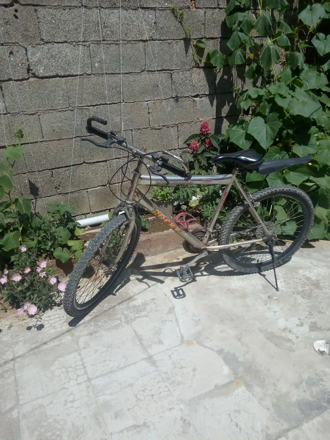 دوچرخه|دوچرخه، اسکیت، اسکوتر|تالش, هشتپر|دیوار