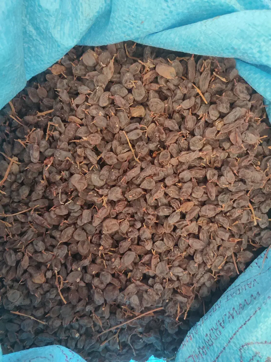 فروش کشمش و مویز(سیاه و رطبی)بش|خوردنی و آشامیدنی|شیراز, گویم|دیوار