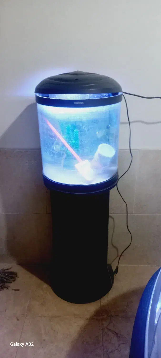 آکواریوم ماهیران شیشه خم با پایه|ماهی|ارومیه, |دیوار