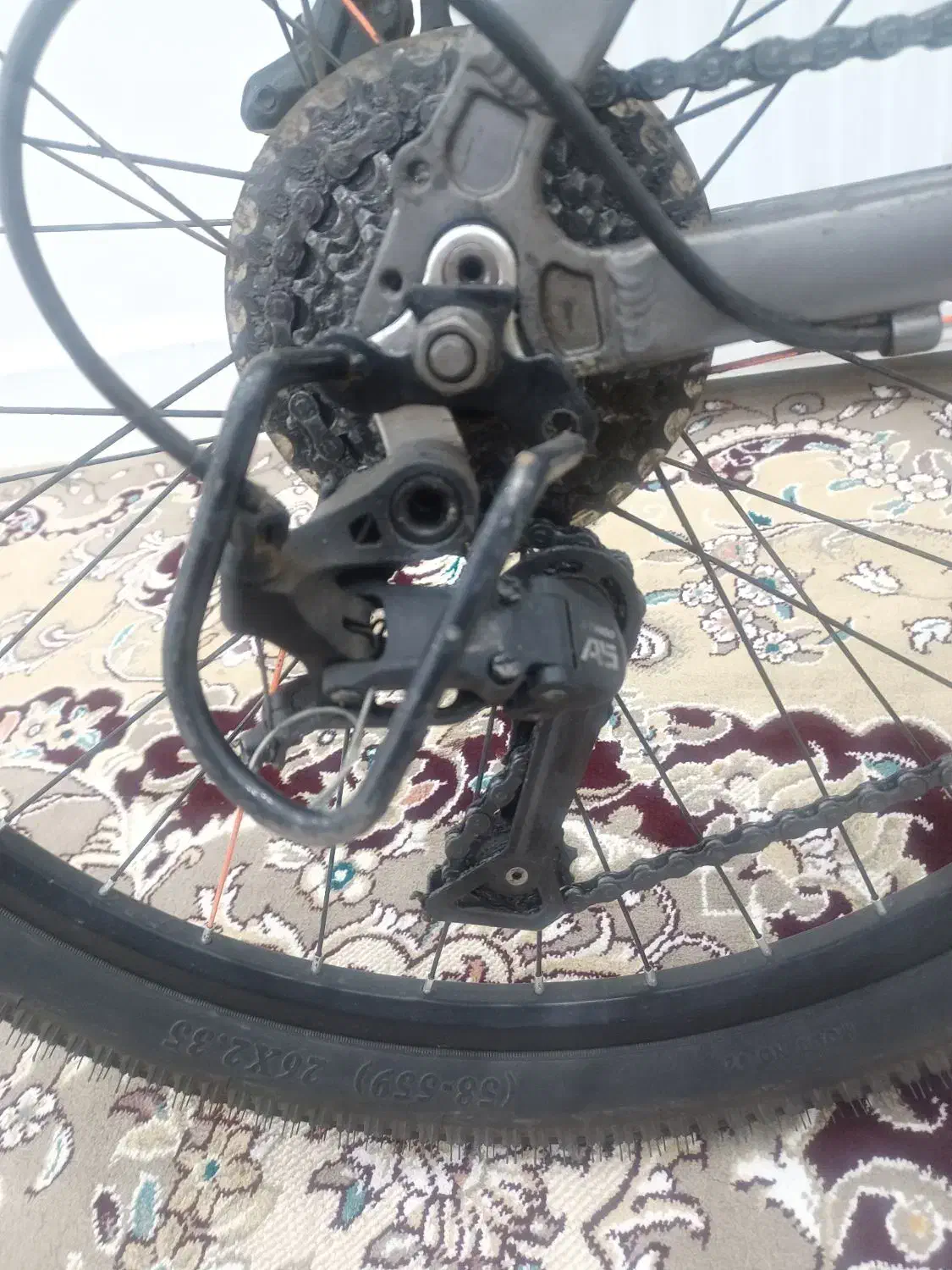 دوچرخه|دوچرخه، اسکیت، اسکوتر|تربت‌حیدریه, مظفریه|دیوار