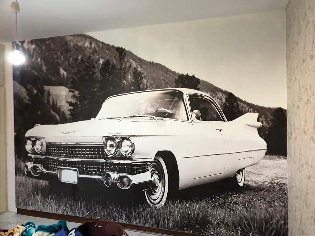 نصاب کاغذدیواری ،نقاشی سقف تمام مناطق|خدمات پیشه و مهارت|تهران, امام زاده حسن|دیوار