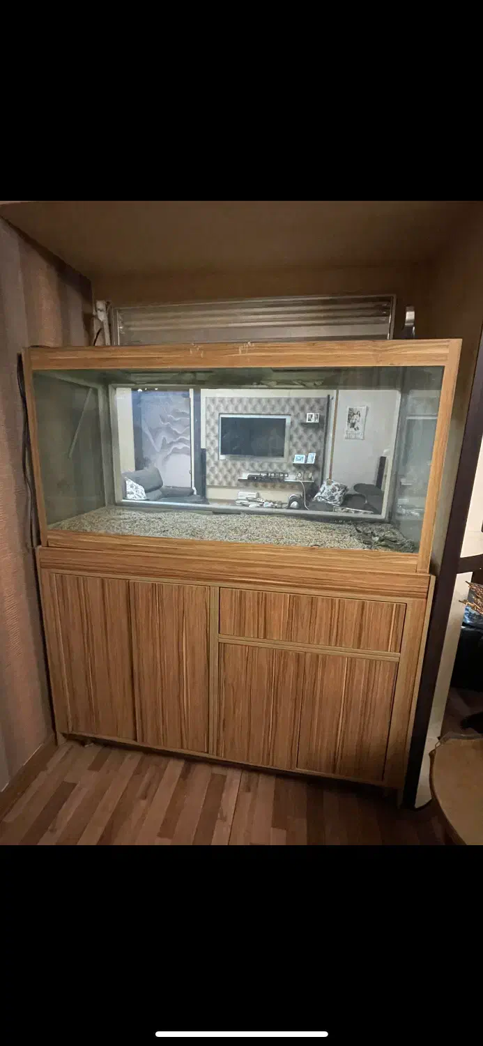 اکواریم ۶۰۰ لیتری|لوازم جانبی حیوانات|تهران, یوسفآباد|دیوار