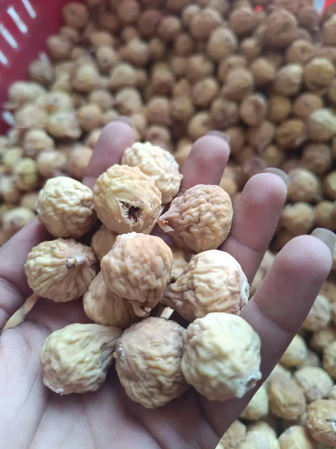 انجیر|خوردنی و آشامیدنی|شیراز, دروازه اصفهان|دیوار