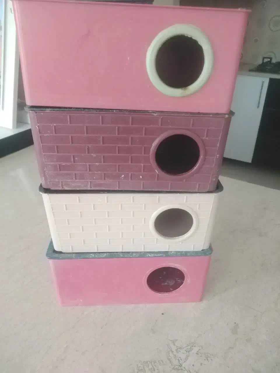 لونه عروس هلندی  و لونه مرغ عشق|لوازم جانبی حیوانات|طبس, |دیوار