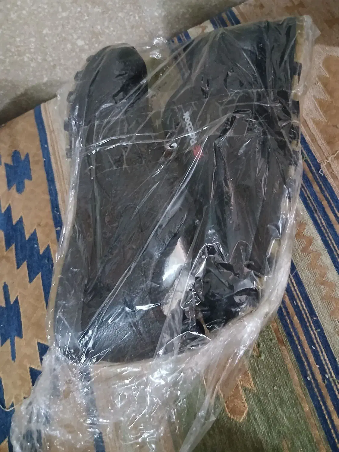 کفشreebok|کیف، کفش، کمربند|بروجن, |دیوار