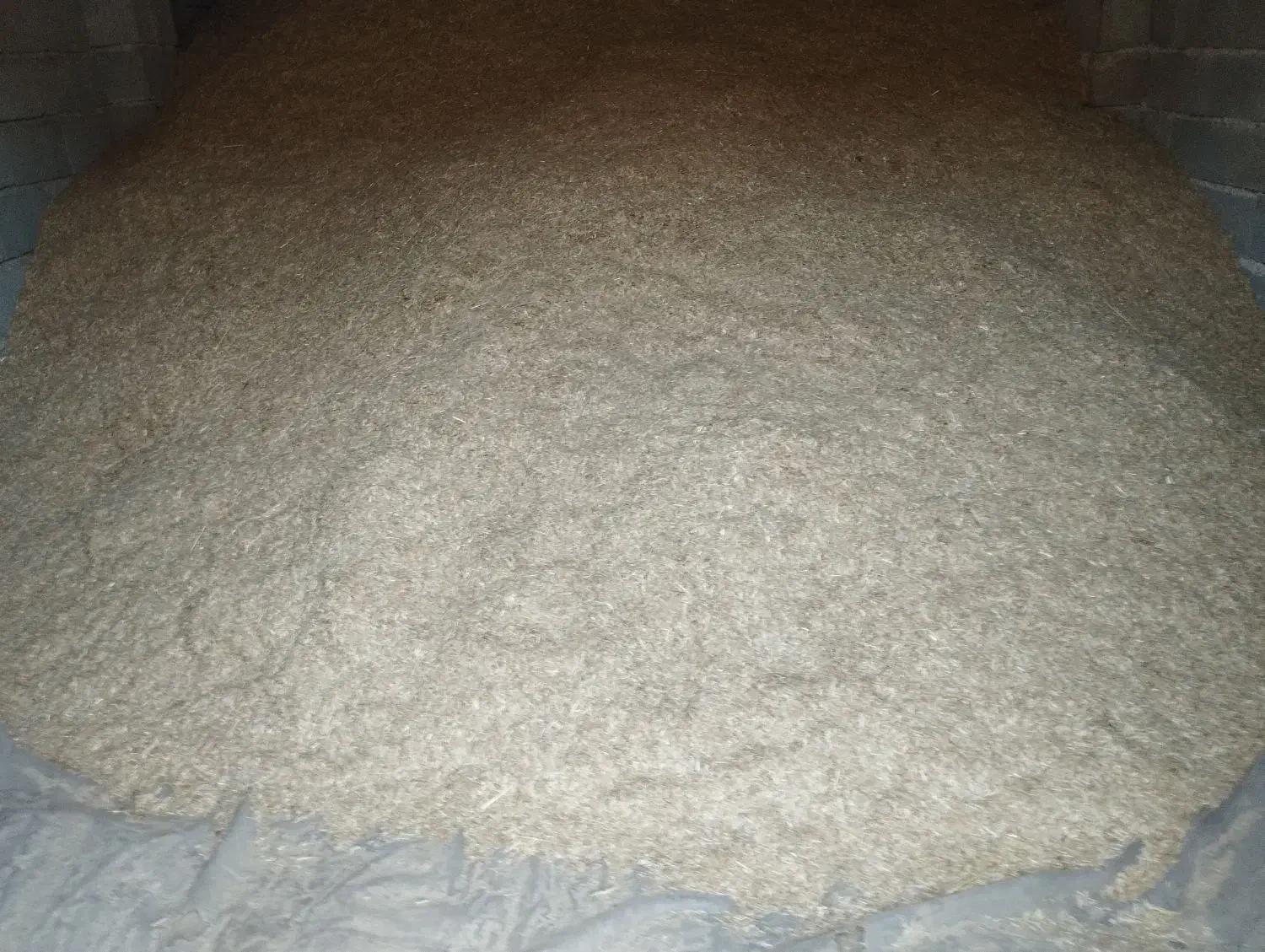 کاه دسته دروگر|لوازم جانبی حیوانات|مراوه, |دیوار