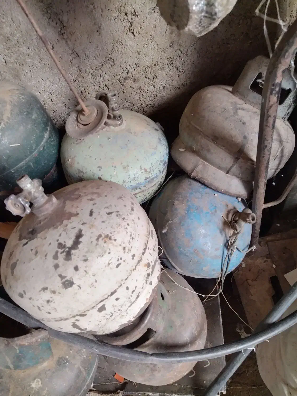 پیک نیک|اجاق گاز و لوازم برقی پختوپز|اسفرورین, |دیوار