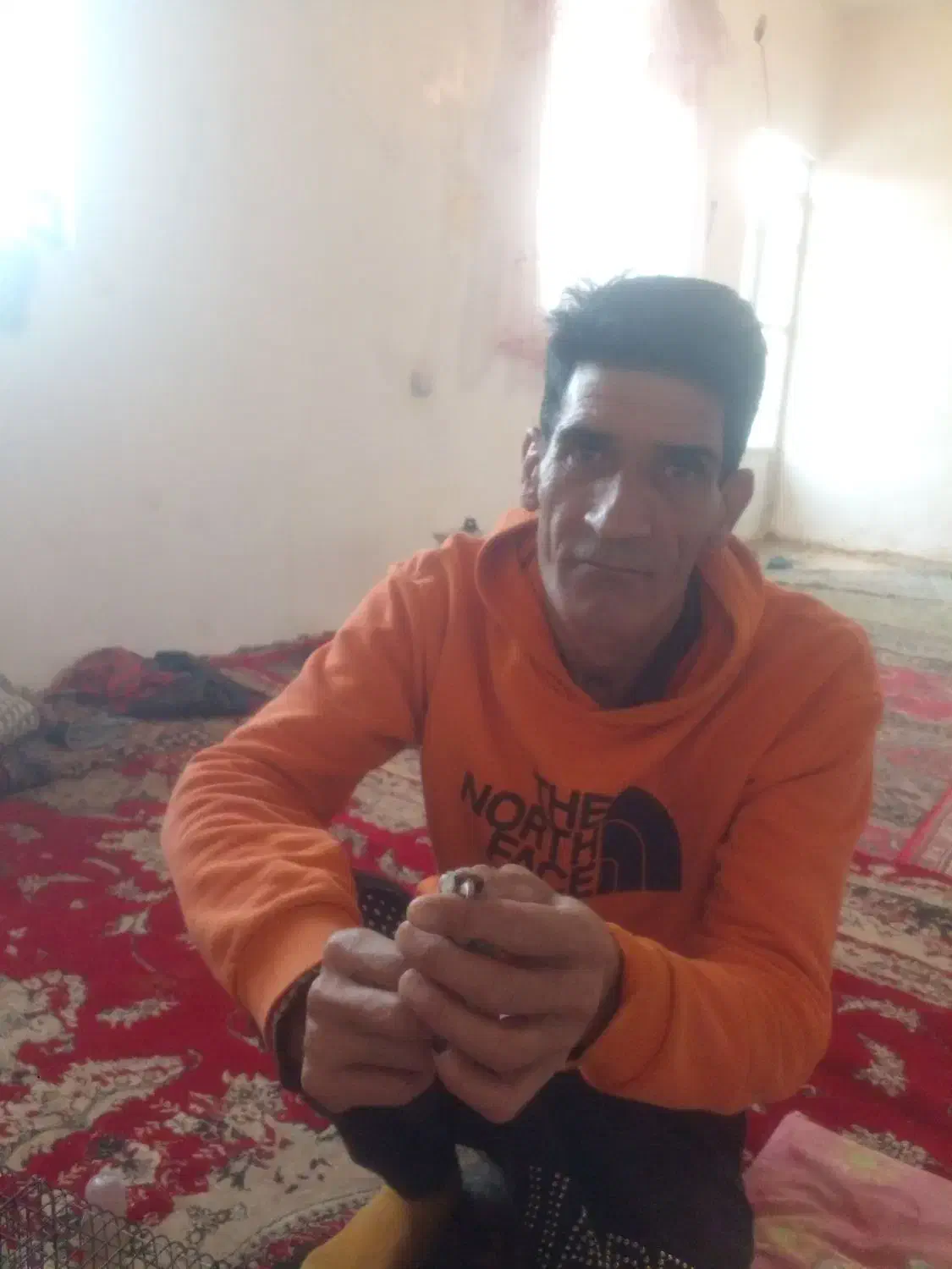 فروش سهره و مرغ شاخدار|پرنده|آبگرم, |دیوار