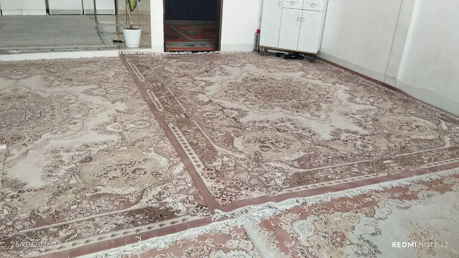 کار کرده ولی تمیز بدون زدگی|فرش|کوهدشت, |دیوار