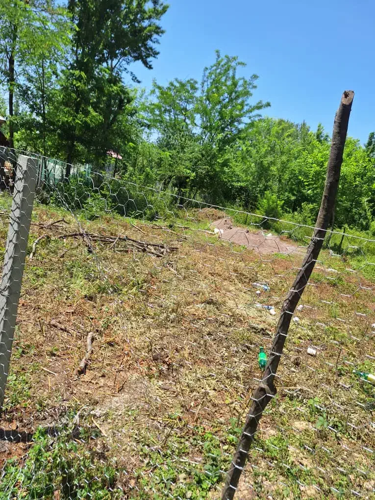 فروش فوری زمین مسکونی|فروش زمین و ملک کلنگی|احمدسرگوراب, |دیوار